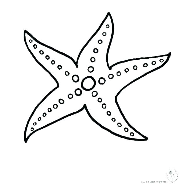 618x637 Sea Star Coloring Page Starfish Coloring Sheet Sea Star Coloring