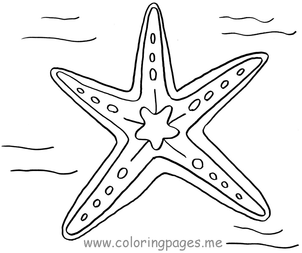 1000x837 Sea Star Coloring Pages Gallery Coloring For Kids 2018