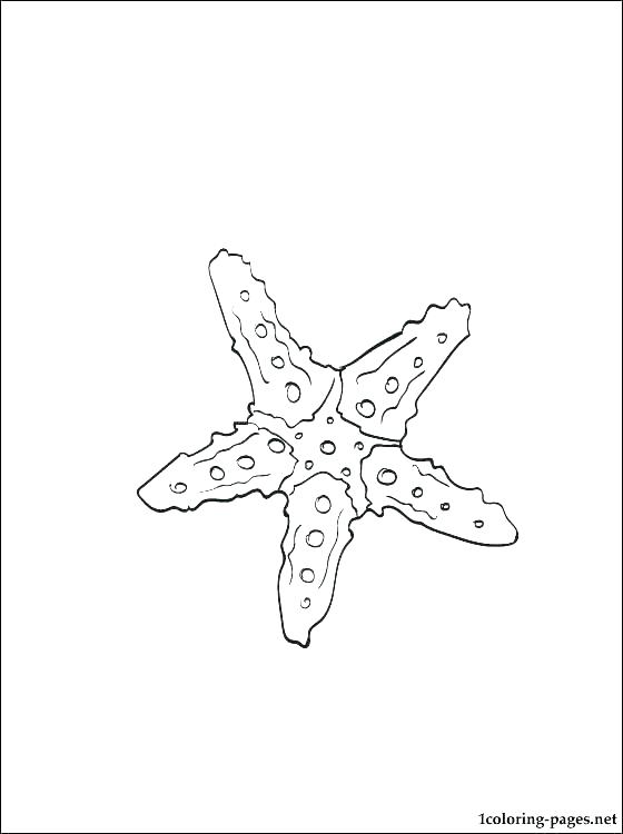 560x750 Star Fish Coloring Page Star Coloring Page Star Fish Coloring Page