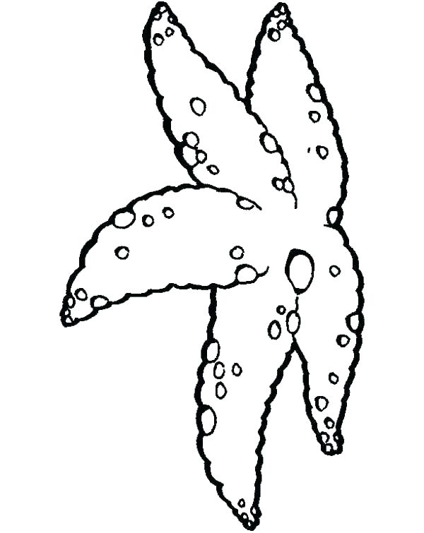 600x755 Star Fish Coloring Page Starfish Coloring Page Free Printable