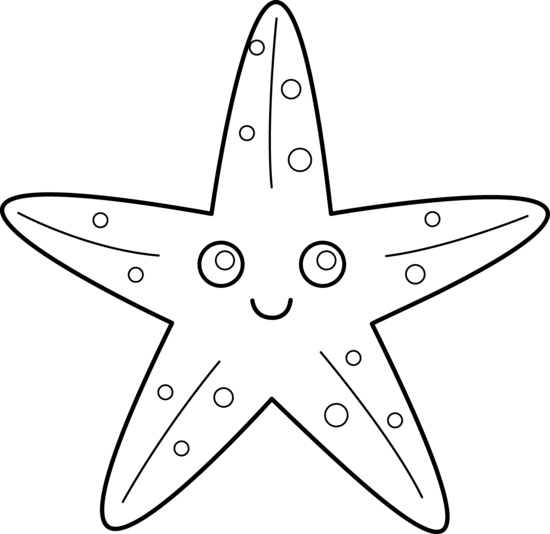 550x534 Starfish Coloring Page Clipart Panda