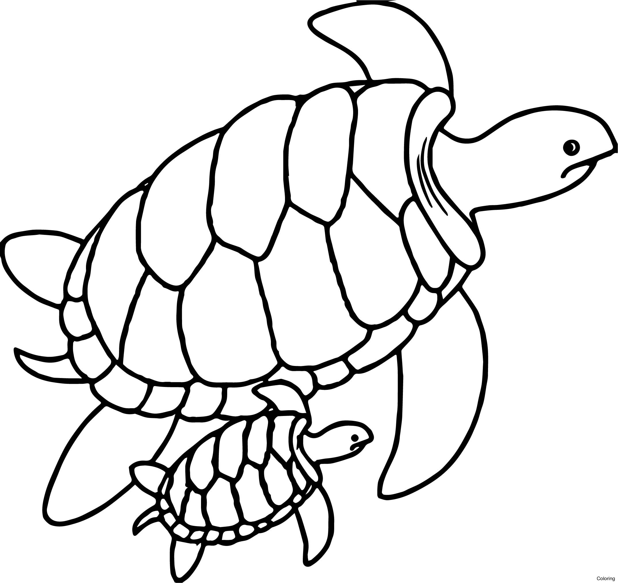 2149x2028 Coloring Pages Of Baby Sea Turtles Fresh Sea Turtle Coloring Page