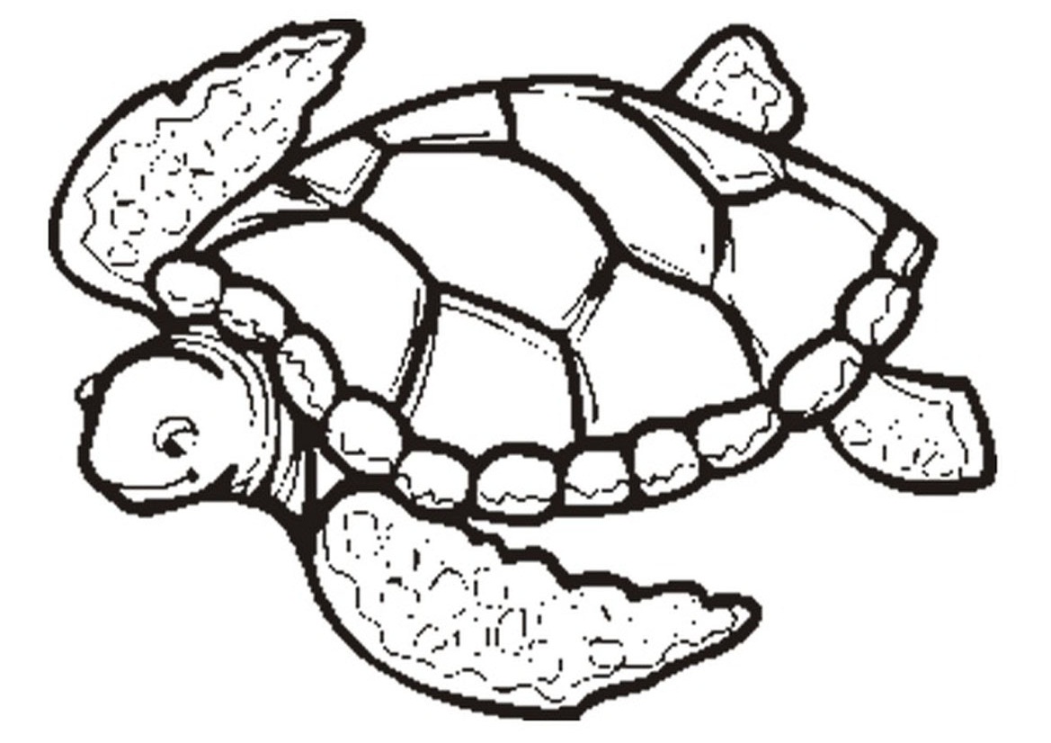 1169x826 Sea Turtle Coloring Pages Printable