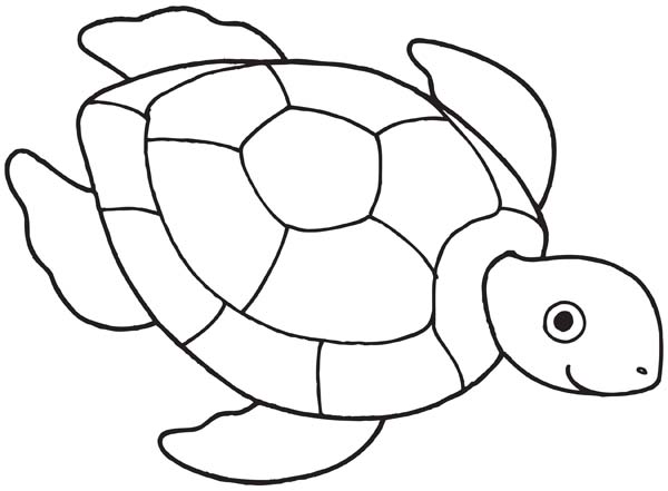 600x441 Sea Turtle Drawing Free Coloring Page