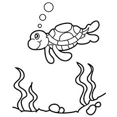 230x230 Top 10 Free Printable Cute Sea Turtle Coloring Pages Online