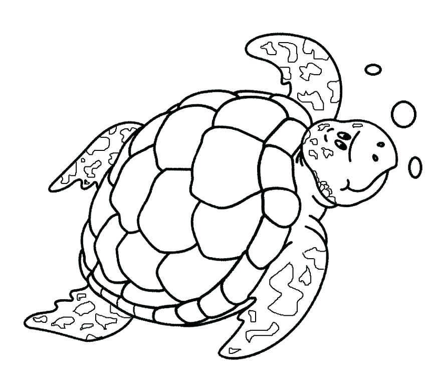 850x770 Coloring Pages Turtle Printable Turtle Coloring Pages Sea Turtle