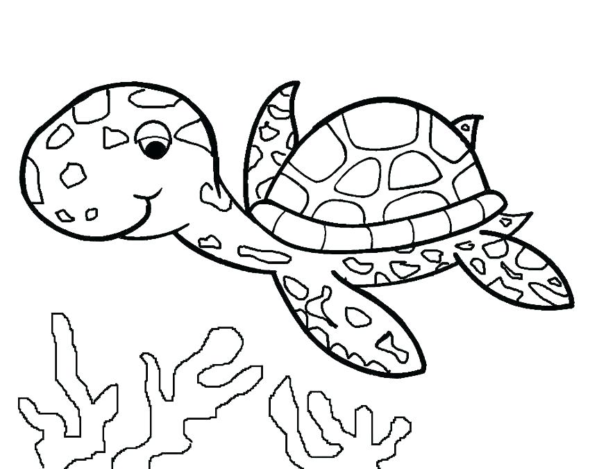 850x675 Free Printable Sea Turtle Adult Coloring Page Download It In Free