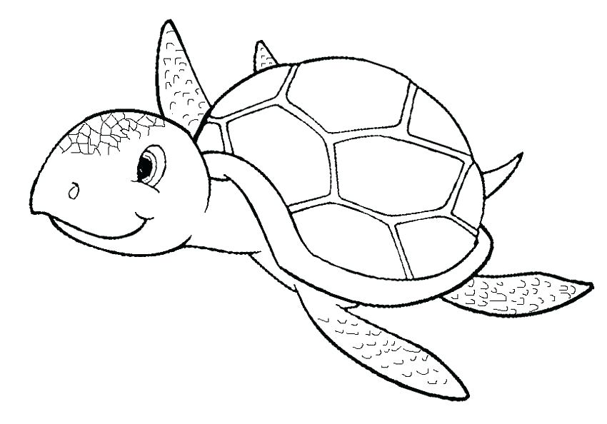 850x594 Printable Turtle Coloring Pages Turtle Coloring Pages Modern