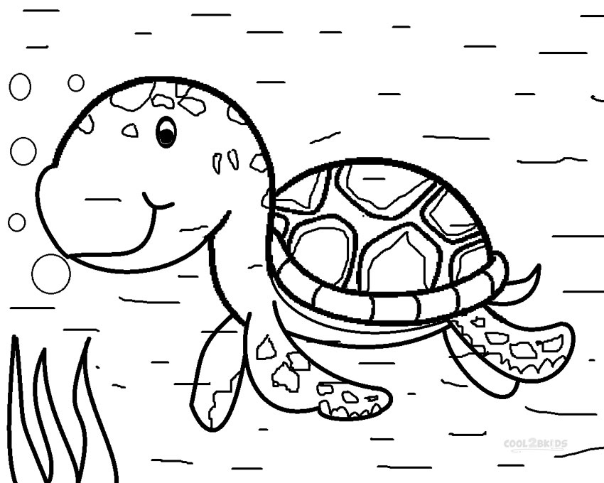 850x680 Sea Turtle Coloring Page New Printable Sea Turtle Coloring Pages