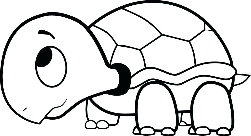 1024x555 Turtle Coloring Book Printable Turtle Coloring Pages Coloring