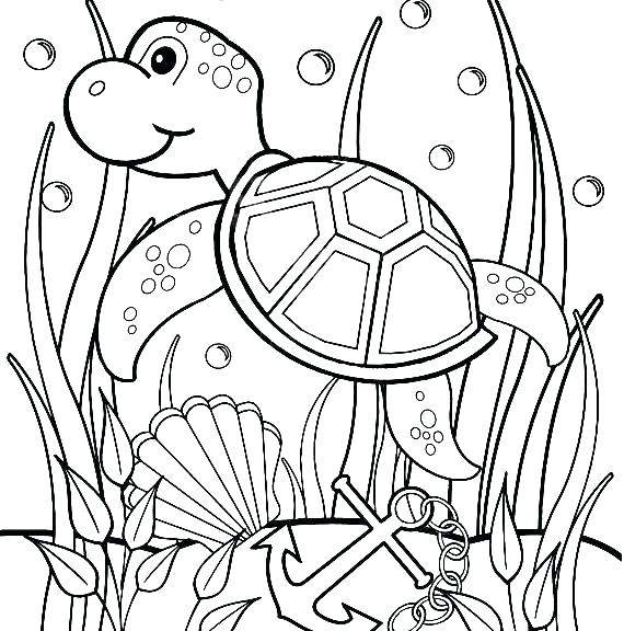 570x576 Coloring Pages Of Sea Turtles Sea Turtles Coloring Pages Coloring