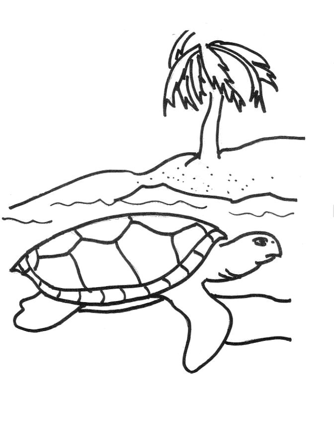 672x856 Free Printable Sea Turtle Coloring Pages For Kids