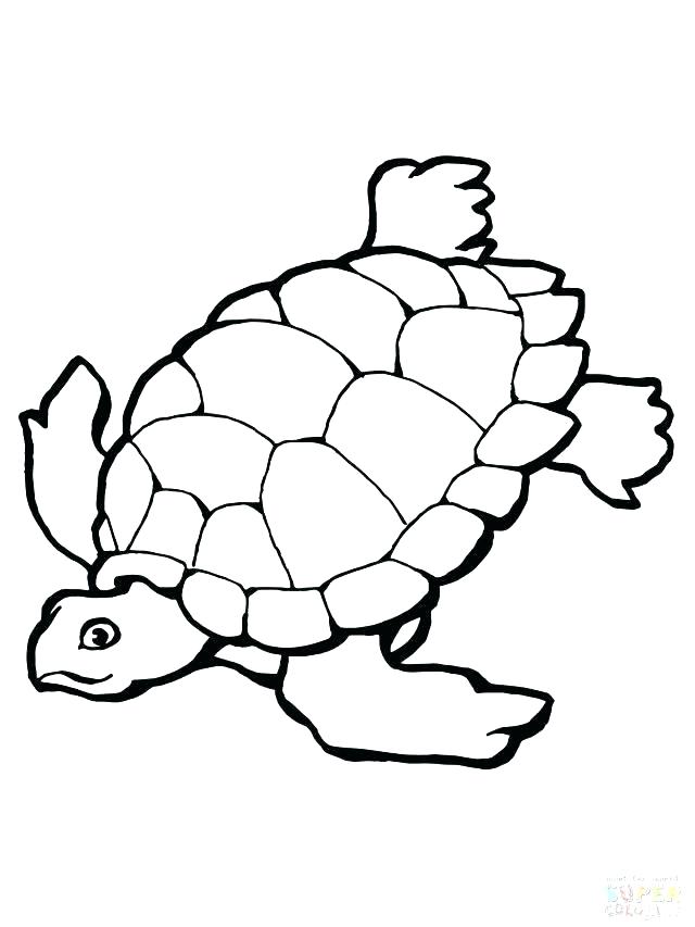 640x853 Green Sea Turtle Coloring Page Coloring Page Of Turtle Coloring