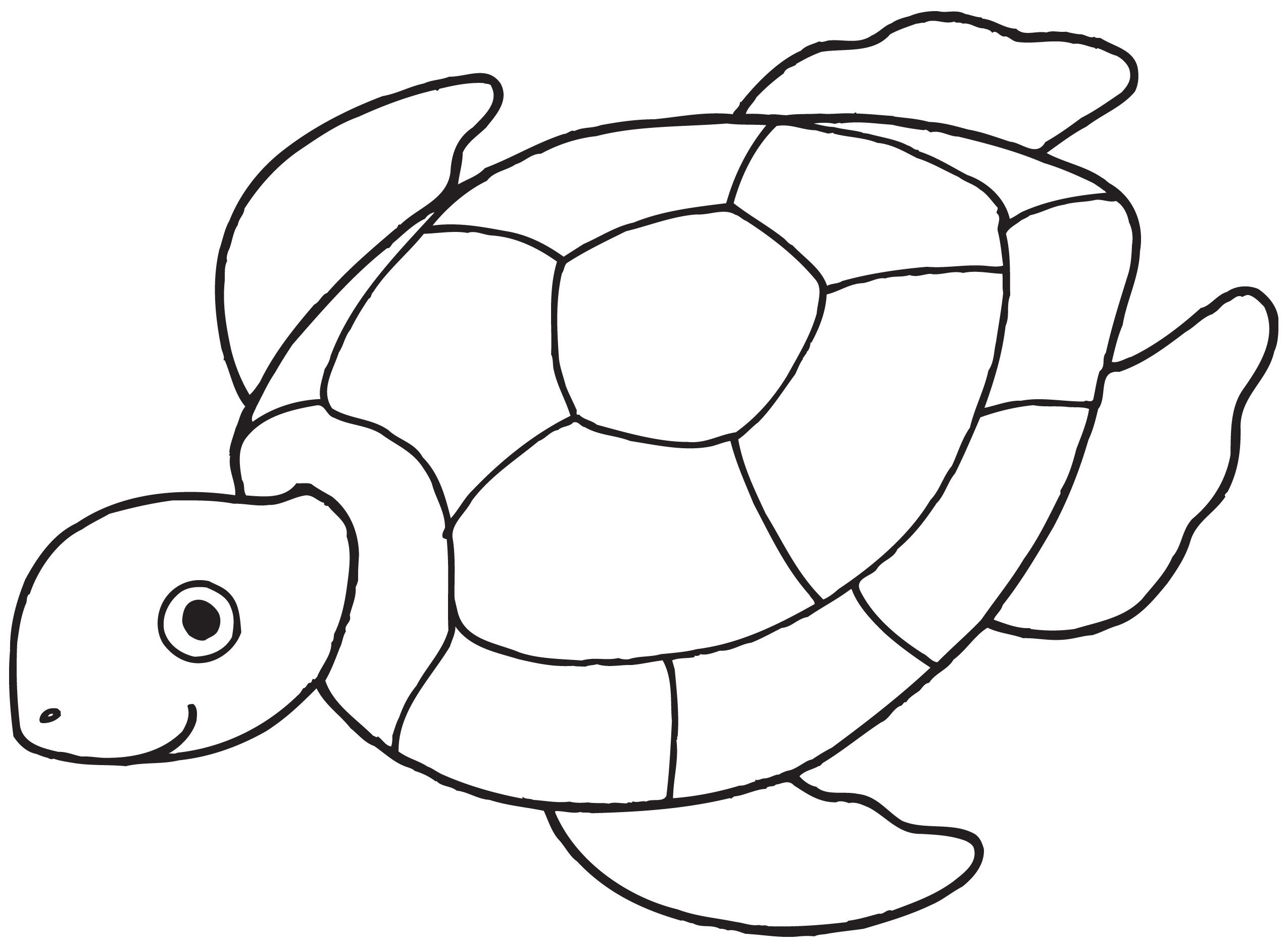 2550x1876 Sea Turtle Coloring Pages For Kids With Free Printable For Kids