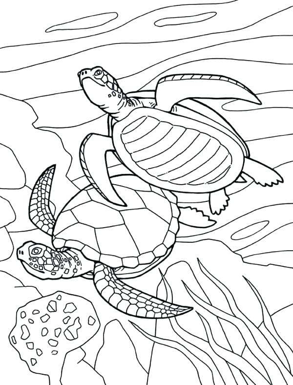 600x788 Sea World Colouring Pages Printable Coloring World Coloring Page