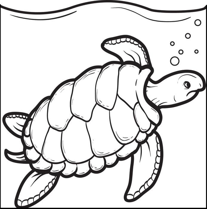 694x700 Swimming Turtle Coloring Page Turtle, Printable Coloring Sheets