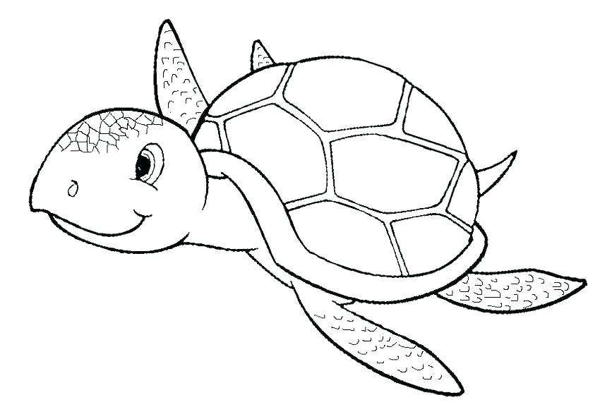 850x594 Turtle Color Pages Free Coloring Ninja Turtle Christmas Coloring