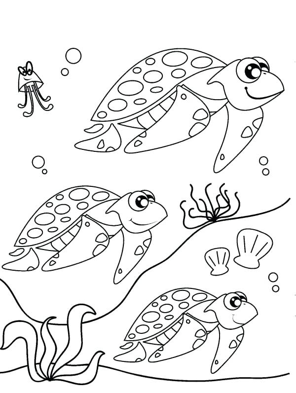 600x797 Turtle Color Page Shippa.co