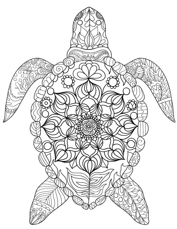 600x776 Free Printable Sea Turtle Adult Coloring Page. Download It In Pdf