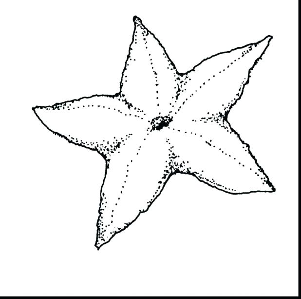 618x613 Sea Urchin Coloring Page Fish S Sea Urchin Colouring Pages