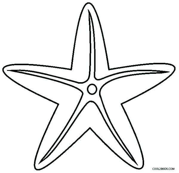 600x581 Sea Urchin Coloring Page Jellyfish Coloring Page Sea Urchin