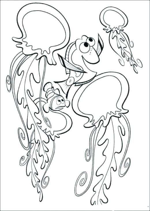 520x730 Sea Urchin Coloring Page Jellyfish Sea Urchin Coloring Pages