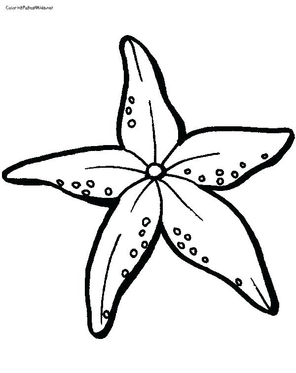 600x756 Sea Urchin Coloring Page Sea Star Coloring Page Star Fish Coloring