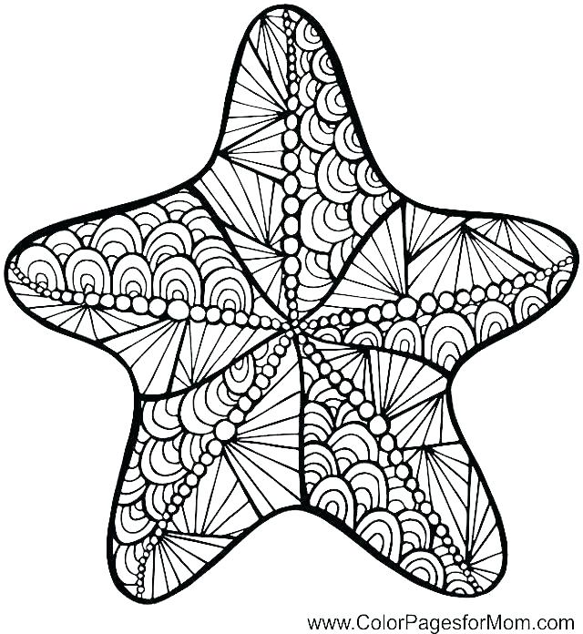 640x696 Sea Urchin Coloring Page Sea Urchin Coloring Page Pin Sea Urchin