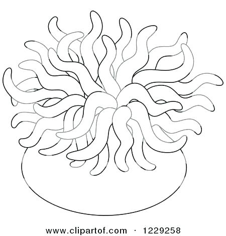 450x470 Sea Urchin Coloring Page Sea Urchin Coloring Page Sea Anemone
