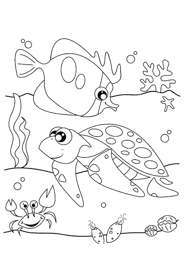 595x842 Sea Urchin Coloring Page Sea Urchin Coloring Page Sea Urchin Black
