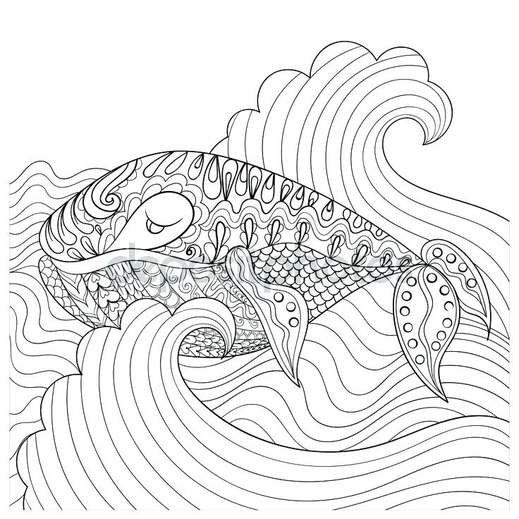 736x736 Sea Urchin Coloring Page Sea Urchin Coloring Page Sea Urchin Kelp