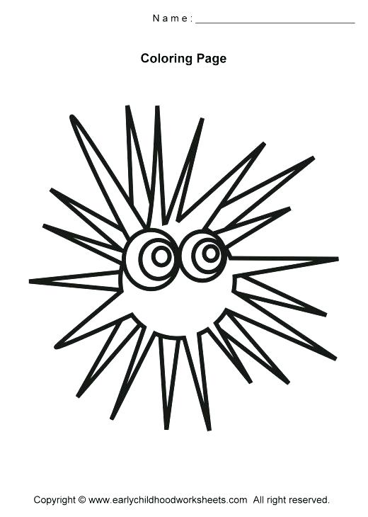 520x730 Sea Urchin Coloring Page Sea Urchin Coloring Pages Sea Urchin