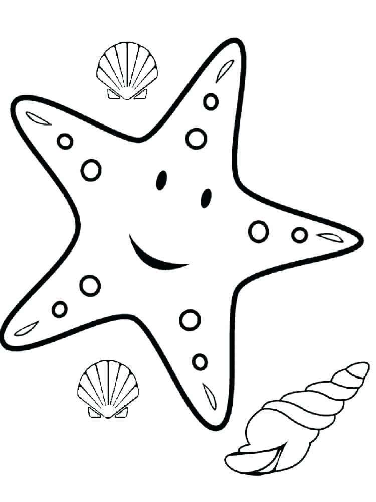 750x1000 Sea Otter Eating Sea Urchin Coloring Page Free Printable Coloring
