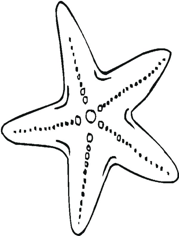 600x788 Sea Star Coloring Page Star Fish Coloring Page Sea Urchin Coloring