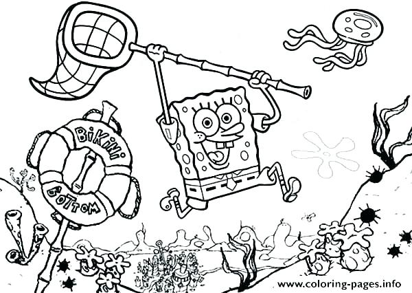600x426 Sea Urchin Coloring Page Artificial Indoor Plant Sea Urchin