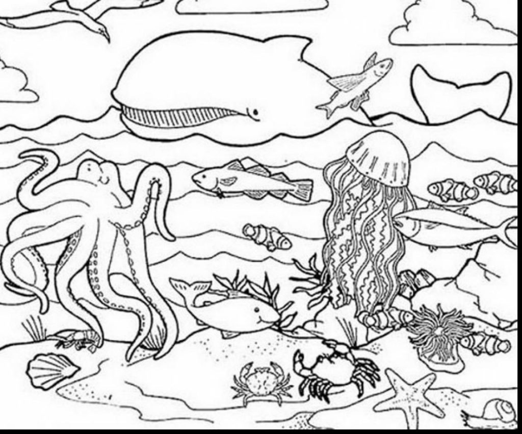 1024x851 Sea World Coloring Pages Coloring Pages Page Unbelievable Ocean