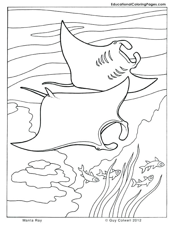 612x792 World Coloring Pages Sea World Coloring Pages Sea World Coloring