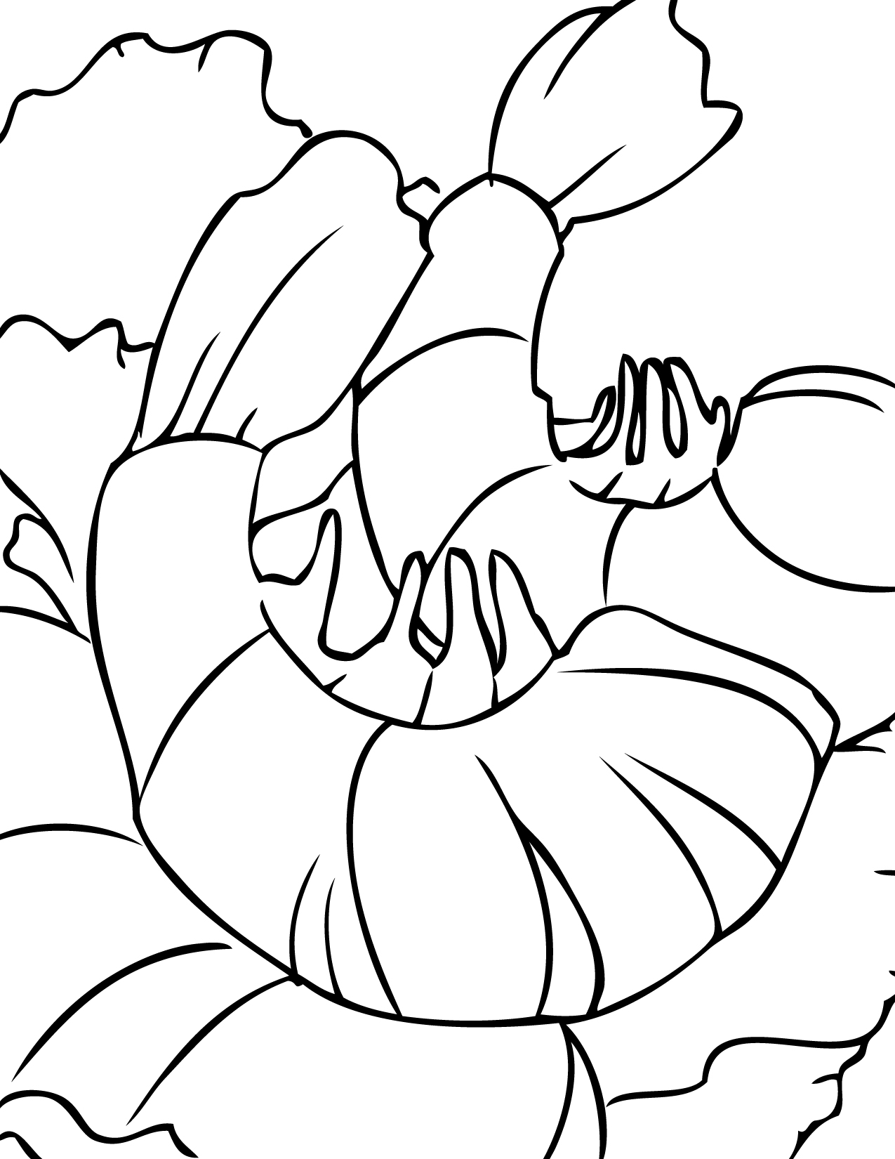 1275x1650 Shrimp Coloring Page