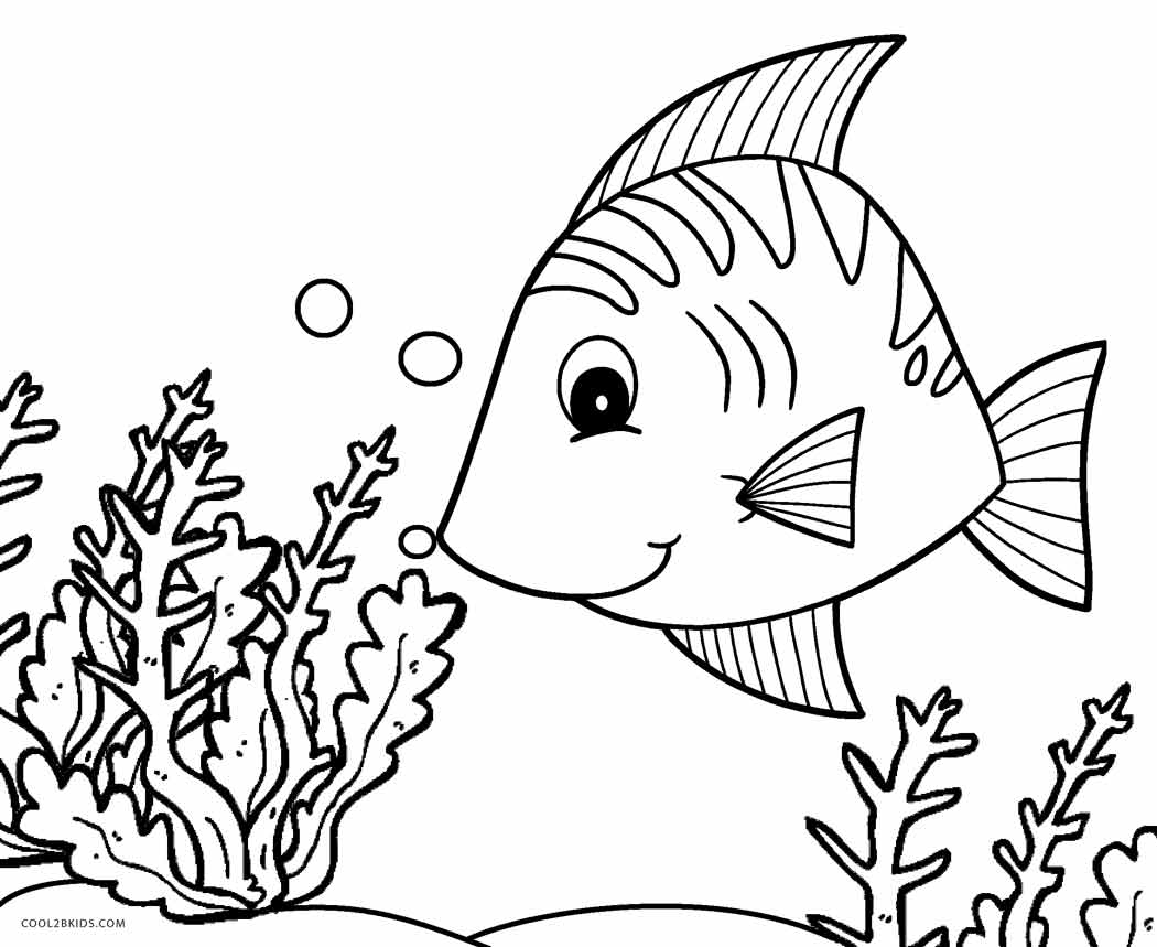 1050x859 Comely Tropical Fish Coloring Pages Preschool Photos Of Cure Free
