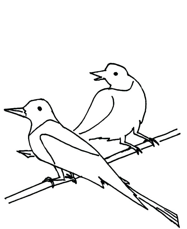 600x735 Seagull Coloring Page Draw Seagull Coloring Page Seagull Printable