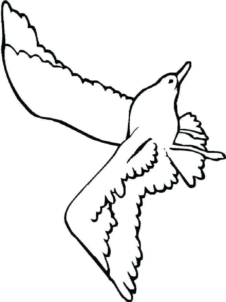 750x1000 Coloring Pages Seagull Printable Coloring Pages
