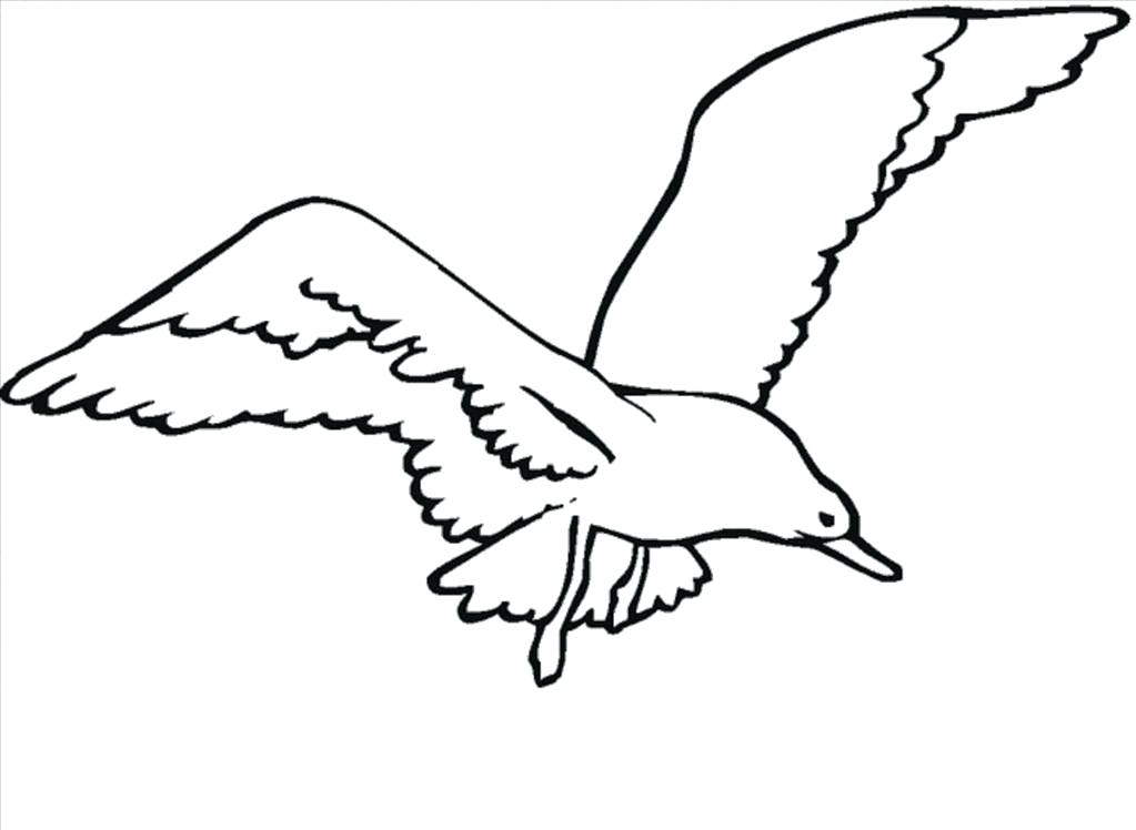 1023x748 Seagull Coloring Page Medium Size Of Coloring Pages For Kids