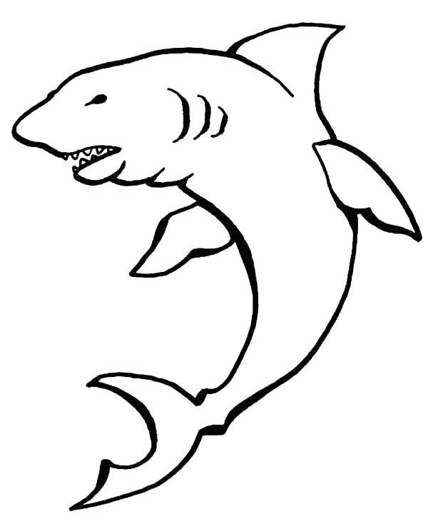 600x734 How To Draw A Seagull Coloring Page How To Draw A Seagull Coloring
