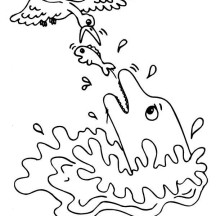 216x216 Seagull Netart