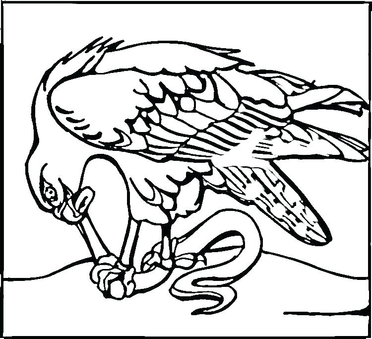 750x683 Seahawks Coloring Page Coloring Pages Coloring Pages Pin Coloring