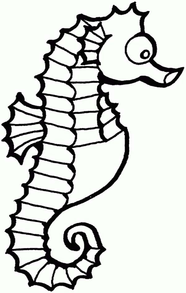 600x946 Seahorse Coloring Page Elegant Free Printable Seahorse