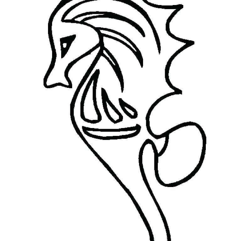 800x768 Seahorse Coloring Page Seahorses Coloring Pages Seahorse Coloring