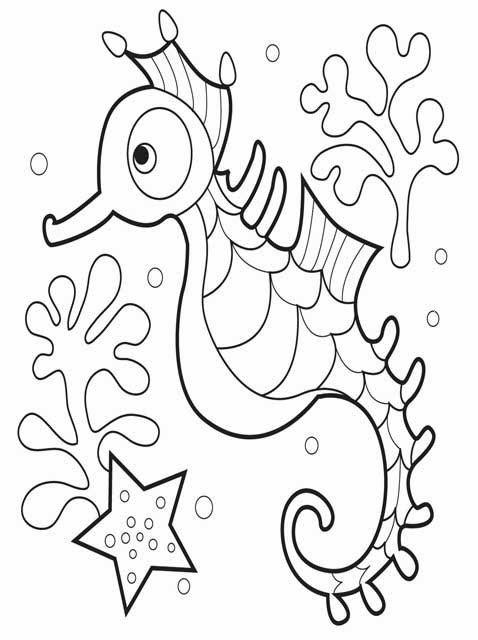 478x640 Seahorse Coloring Pages Kids Page Cute Sea Horse