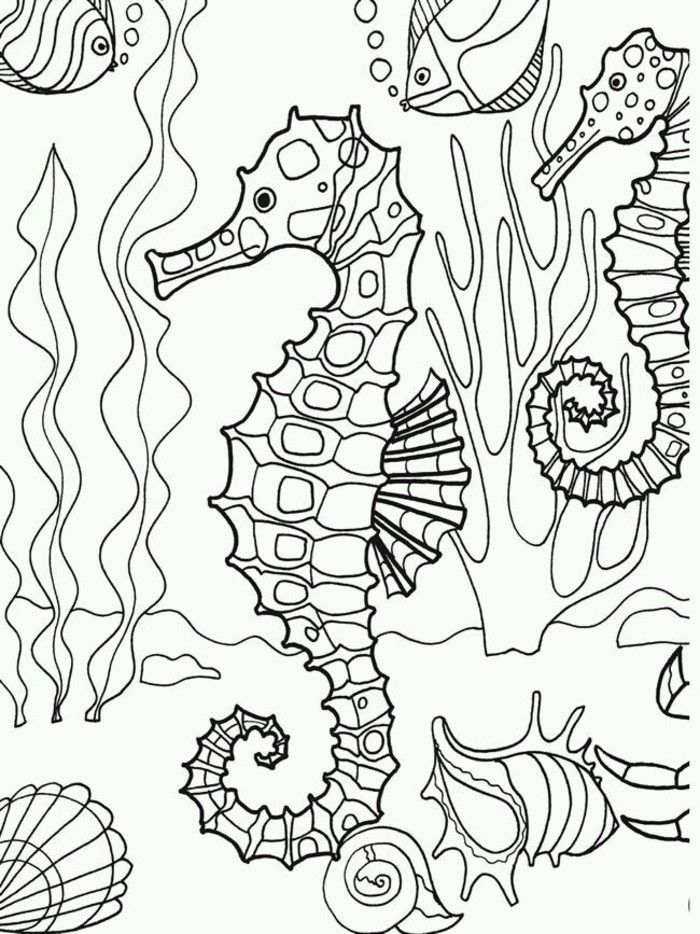 700x934 Underwater Seahorse Coloring Page