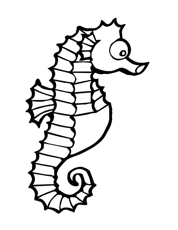 600x776 Luxurious And Splendid Seahorse Coloring Pages Free Animal Sheets